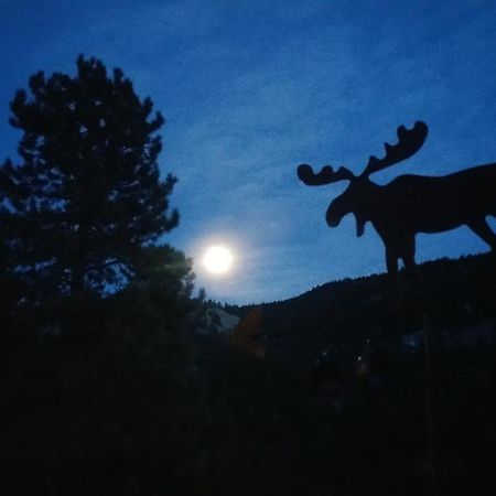 Lake City Alpine Moose Lodge מראה חיצוני תמונה